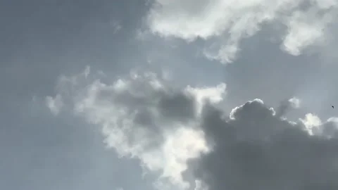 Calming cloudy sky with bird flying Stock Footage 224428860