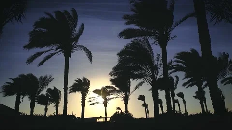 Calming dreamy sunset Video stock 165494115