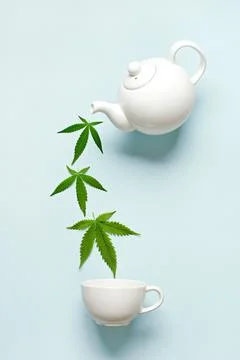 Calming drink concept. Minimal creative composition of hemp leaves, cup and Stock Photos