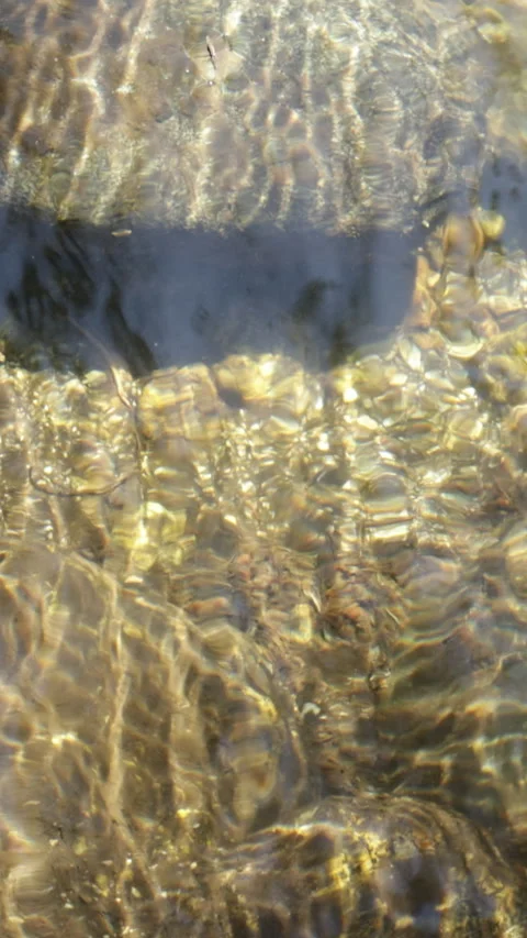 Calming Freshwater Stream With Sparkling Reflections Vídeos de archivo 336133381