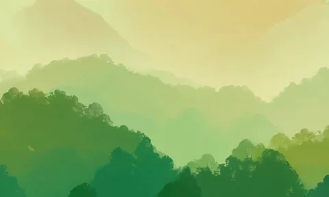 A calming green forest gradient background Stock Footage 304565517