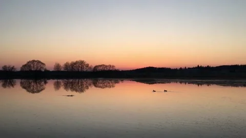 Calming lake reflection during sunset. Two duck silhouettes swimming by. Stock Footage 132106559