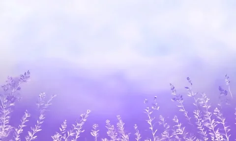 A calming lavender field abstract gradient background Stock Footage 304565518