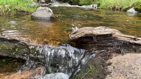 Calming Mountain Stream up close Stock Footage 156414139