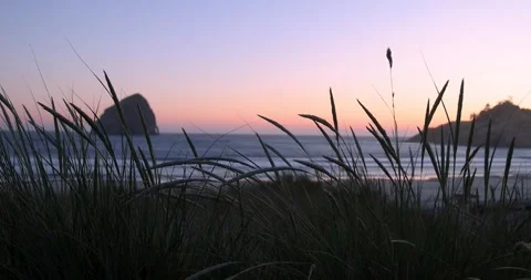 Calming ocean beach sunset behind sand dunes Stock Footage 339264678