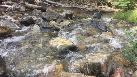 Calming river flowing in the daytime Stock Footage 93780965