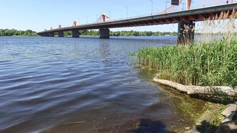 Calming River Shore With Small Waves Reeds And Distant Bridge Stock Footage 336400928
