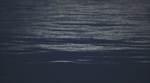 The calming of the sea. 動画素材 67888048