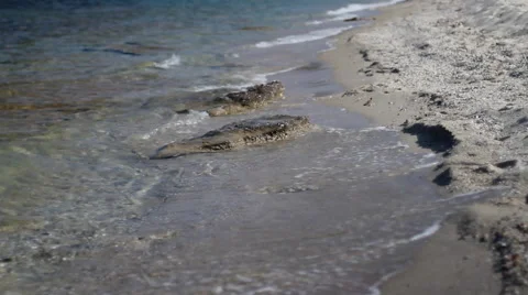 Calming Sea Waves Video stock 55044721