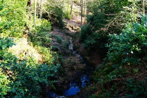 Calming stream in small valley Stock Photos