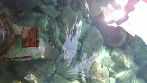 Calming view of moss covered rocks and the sea. Stock Footage 239486292