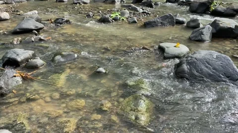 Calming water flow between rocks at Ciujung River, West Java, Indonesia Stock Footage 312395359