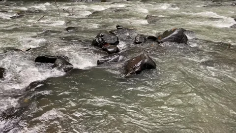 Calming water flow between rocks at Ciujung River, West Java, Indonesia Stock Footage 312395503