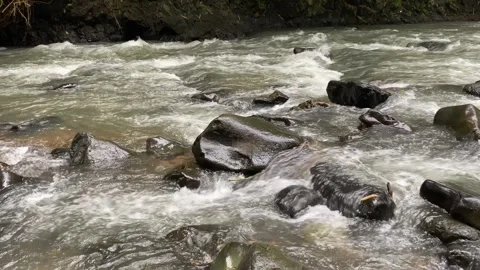 Calming water flow between rocks at Ciujung River, West Java, Indonesia Stock Footage 312395504