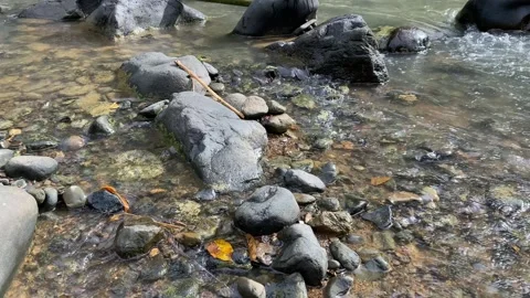 Calming water flow between rocks at Ciujung River, West Java, Indonesia Stock Footage 312396894