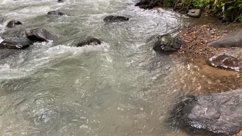 Calming water flow between rocks at Ciujung River, West Java, Indonesia Stock Footage 312399508