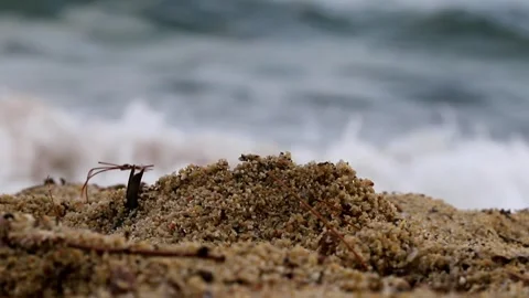 Calming waves on a sandy beach Stock Footage 282249145