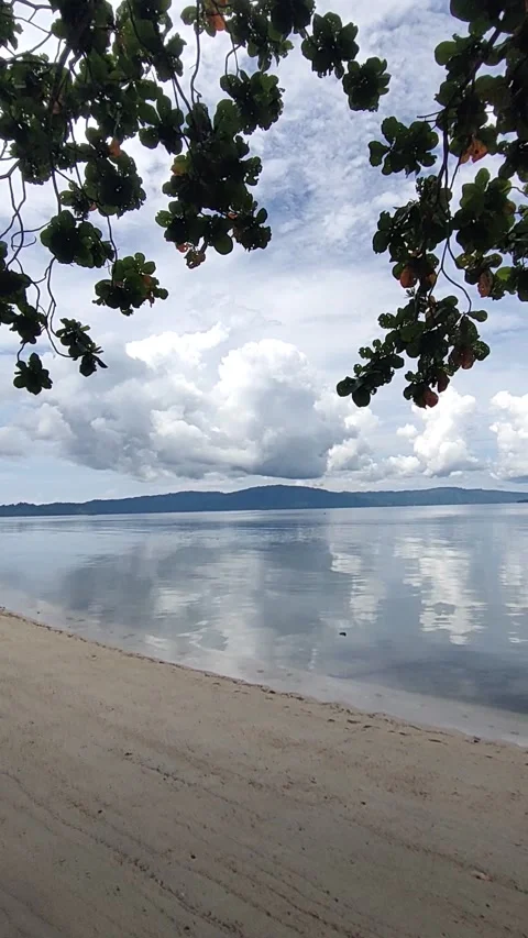 Calmy Blue Beach Stock Footage 249384304