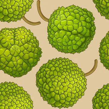 Calodendrum plant vector pattern Stock Illustration