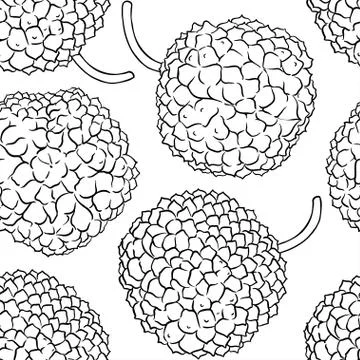 Calodendrum vector pattern on white background Stock Illustration