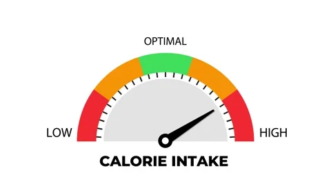 Calorie Intake Gauge Meter with Low Optimal and High Level Animation 스톡 동영상 343694445