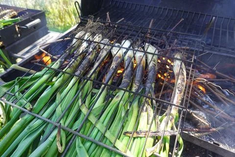 Calots grilling over open fire for calotada Fotos Stock