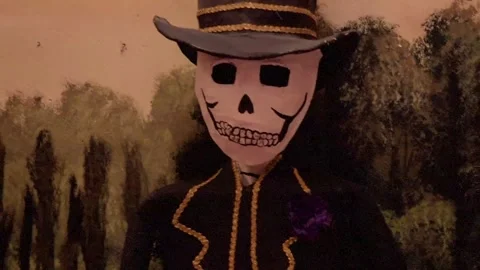 Calvera Rockstar Stock Footage 141482073