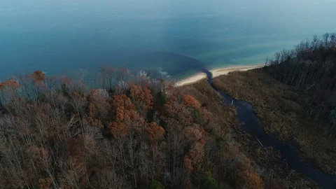 Calvert Cliffs State Park Stock Footage 130095976