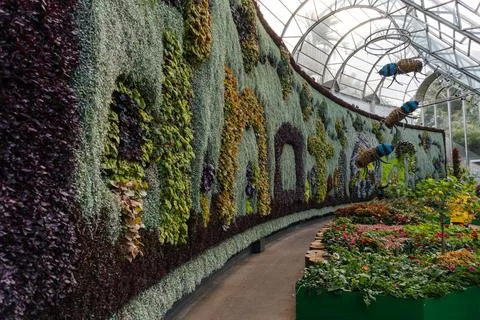 The Calyx Stock-Fotos