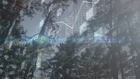 Cam tilting down revealing trees jagged chart rising diagonal cyan flare cutting Stock Footage 332747027