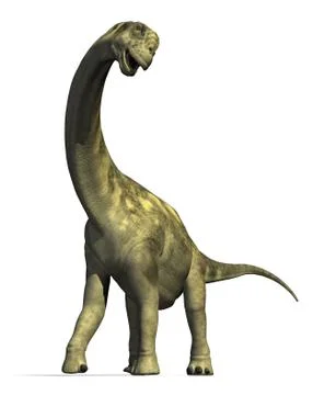 Camarasaurus Dinosaur 2 Stock Illustration