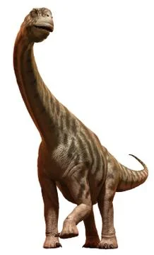 Camarasaurus Ilustración de archivo