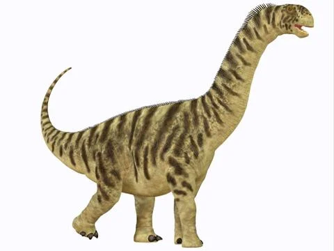 Camarasaurus juvenile Stock Illustration