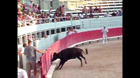 CAMARGA RUNNINGS Stockbeeldmateriaal 300278735