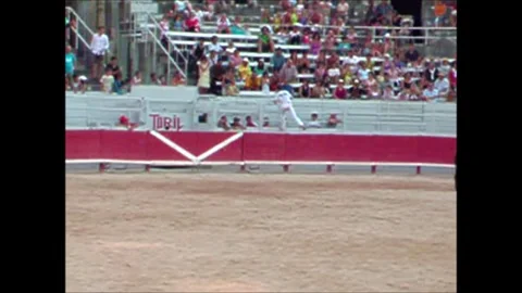 CAMARGA RUNNINGS Stockbeeldmateriaal 300278738