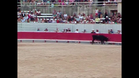 CAMARGA RUNNINGS Vidéo 300278740