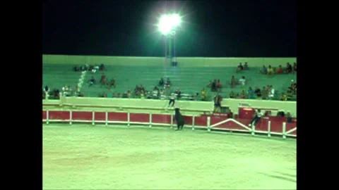 CAMARGA RUNNINGS Vidéo 300991824