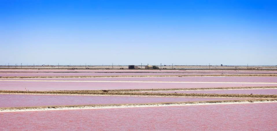 Camargue, Giraud pink salt flats landscape. Rhone, Provence, France. Stock Photos