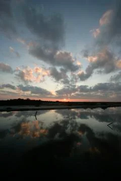 Camargue Stock-Fotos