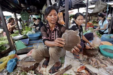 Cambodia Conservation Soft - shell Turtle - May 2007 Stock Photos