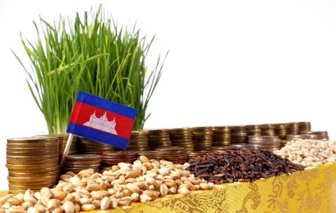 Cambodia flag waving with stack of money coins and piles of wheat and rice .. Stock Photos