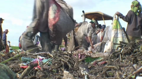 CAMBODIA-GARBAGE DUMP 82 Stock Footage 7750786