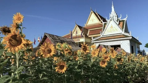 Cambodia pagoda 库存影片 111306776