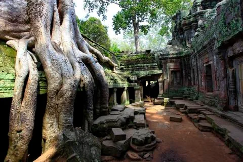 Cambodia 库存照片