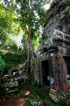 Cambodia 库存照片