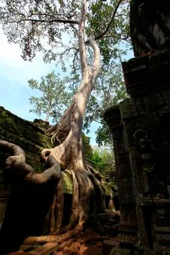 Cambodia 库存照片