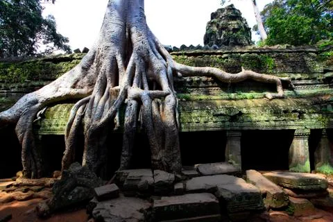 Cambodia 库存照片