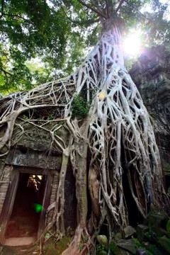 Cambodia 库存照片
