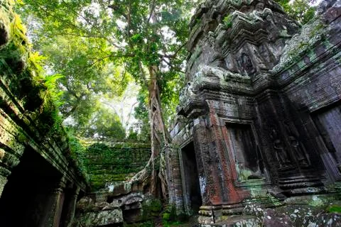 Cambodia Foto stock