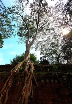 Cambodia Foto stock